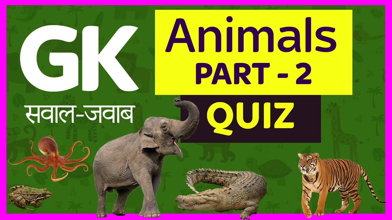 Gk | Quiz on Animals | सवाल जवाब | GK questions & Answers - YouTube