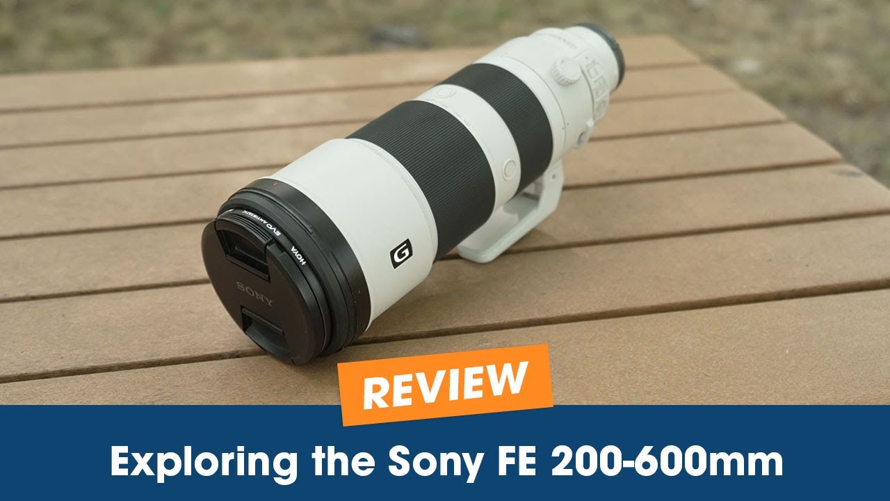 Exploring the Sony FE 200-600mm: A Super Telephoto Lens Overview
