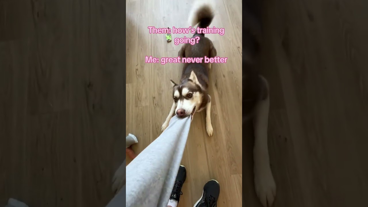 She behaves I promise! 