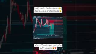 ඉගෙන ගන්න කැමති නම් මැසේජ් එකක් දාන්න📊🥳0713328610#trading #sinhala #trade #binance #online #new