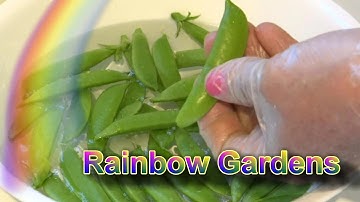 How to Trim Sugar Snap Peas