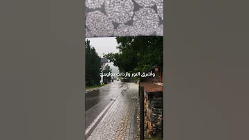 إني ذكرتك فاخضرت بساتيني تصميمي اناشيد 