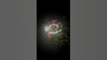 احترم القرآن الكريم 💗+ اكتب شيء تؤجر عليه.