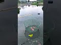 الراجل العجوز بيصطاد سمك بالبطيخ😱