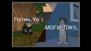 Путин, помоги пж с домашкой🙏|  cat simulator