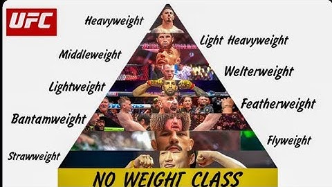 Every UFC Weight Division Explained in 10 Minutes
