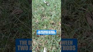 Aeration Methods That Actually Work Vs Not #shorts