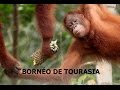 Borno  un film documentaire de tourasia