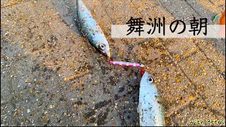 〜舞洲の朝 2021 〜　サバが釣れたので〆さばに。