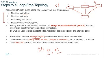 Spanning Tree Protocol (STP) شرح