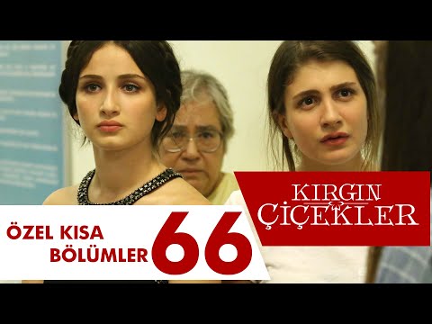 Kırgın Çiçekler Özel Kısa Bölümler | 66