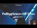 Wallows - Pulling Leaves Off Trees [Legendado/Tradução]