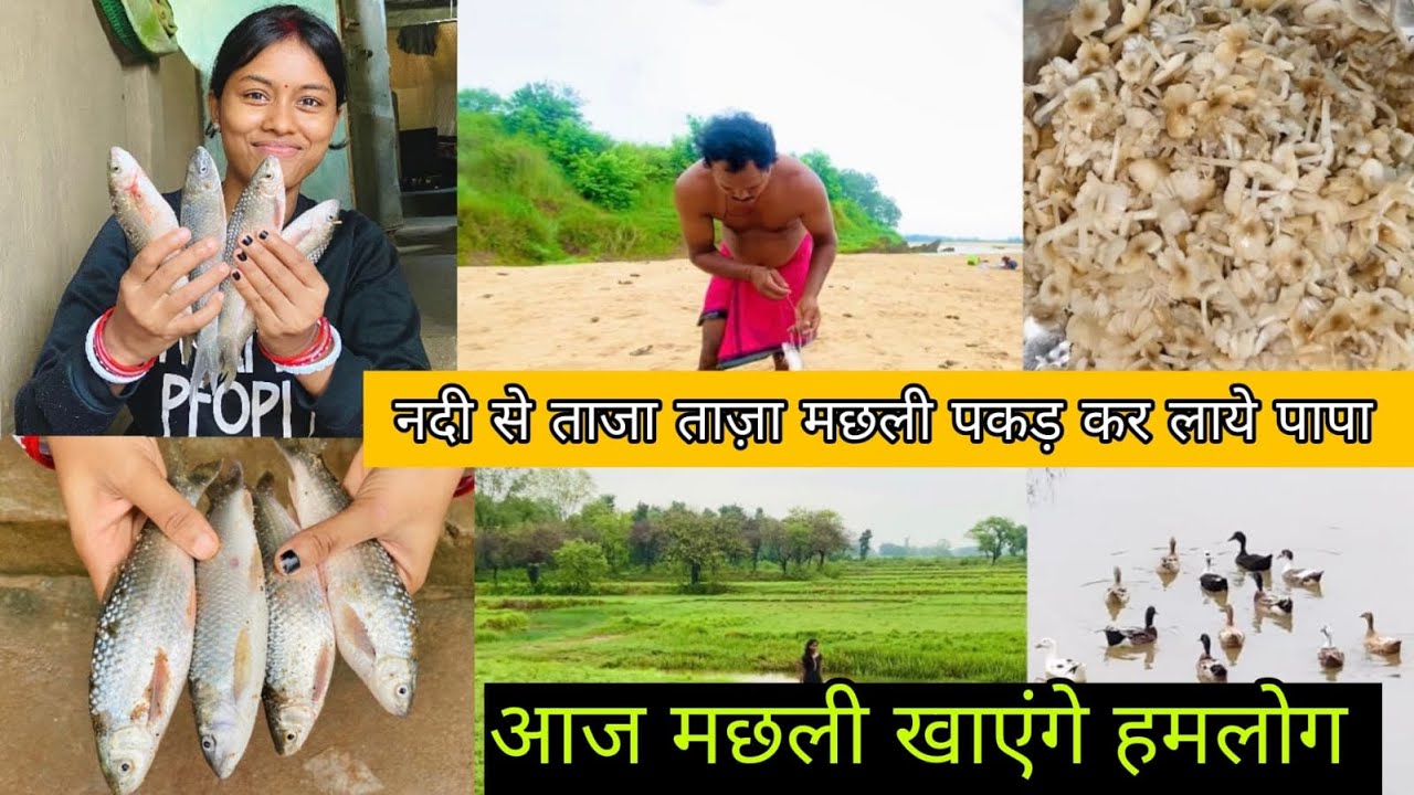 नदी से ताज़ा मछली पकड़ के लाए पापा || आज मछली खाएंगे हमलोग||