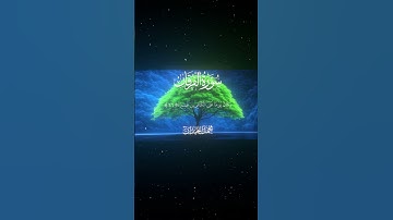 سورة الفرقان|26-29|القارئ:#محمد_اللحيدان #قران #quran #قران_كريم #تلاوة #تلاوة_هادئة#آية#تلاوة_خاشعة
