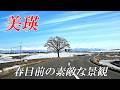 【北海道 美瑛】3月の素敵な美瑛 4K