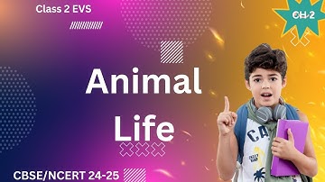 🌈 CBSE syllabus Class 2  EVS Lesson 2 -  Animal