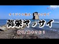 弥栄ヤッサイ (石川さゆりさん)唄/真木さおり