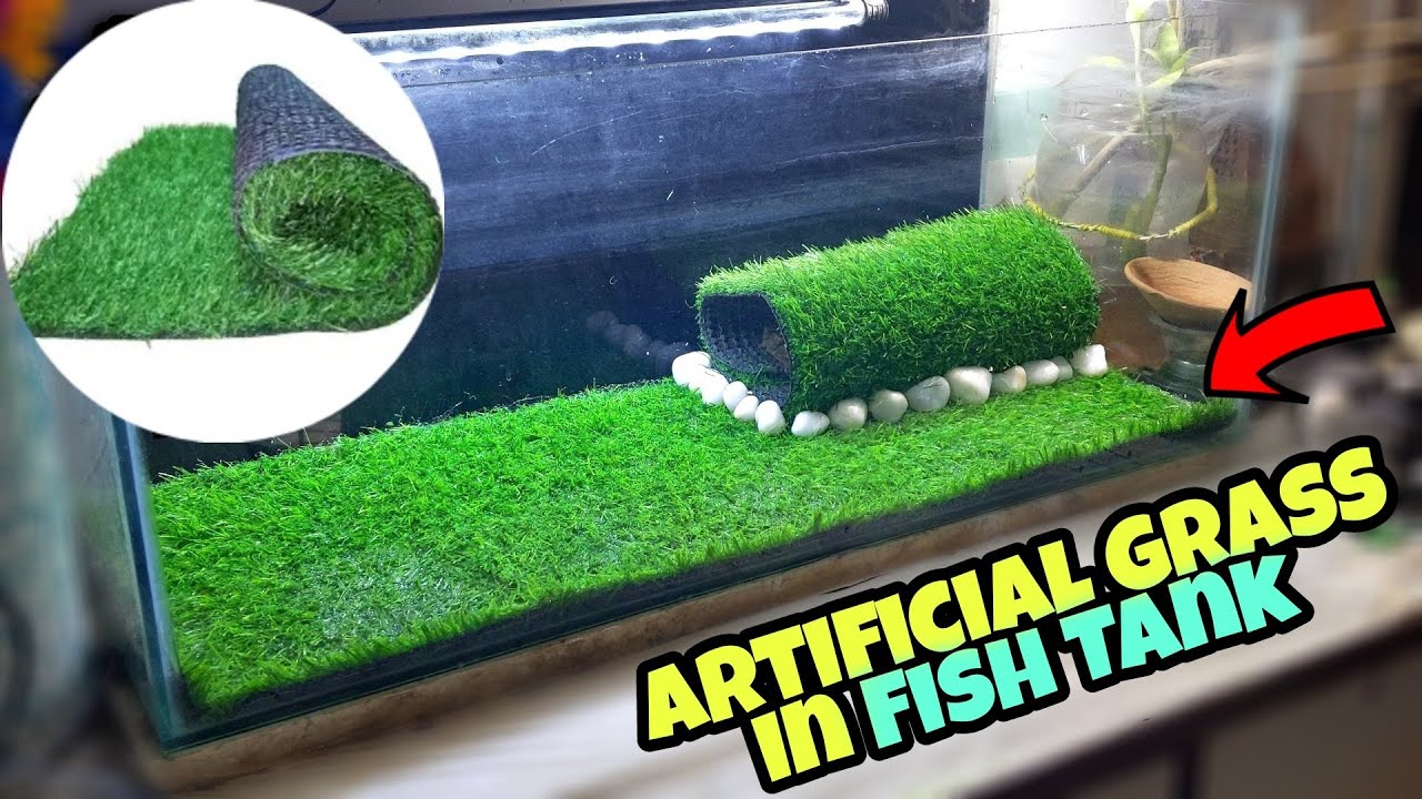 How to make a grass carpet in your aquarium?