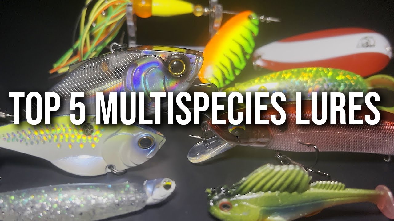 Top 5 MULTISPECIES Fishing Lures! (FRESHWATER) 