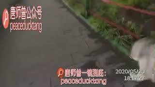 20200520唐师曾《无趣才装B》