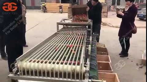 Fresh Strawberry grading machine by size video show  Widely Used Best Quality