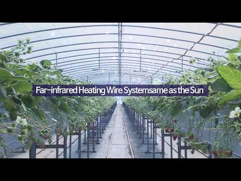 Video: Infraröda Värmare För Växthus: Takgasvärme, Funktioner I Infraröd Uppvärmning, Kan Den Användas I Ett Växthus, Recensioner