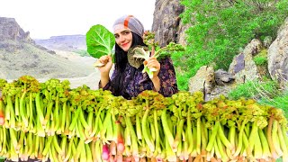 Village Life Iran | Mix Daily routine village life in Iran | Cooking in Nature