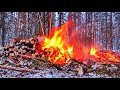 Уничтожение лесов в Иркутской области !