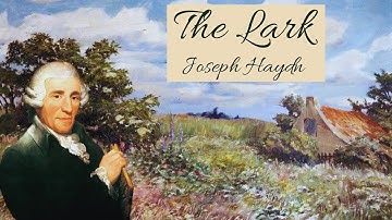 Haydn: String Quartet No. 53 in D Major Op. 64 - 