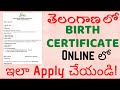 Birth certificate in telangana  apply online from meeseva website in telugu with easy process