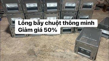 Giảm giá 50% khi mua bẫy chuột thông minh