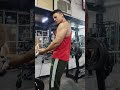 how to do cable biceps curl #reels #trending #viral #gymmotivation #shorts