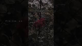 واذكر عبدنا أيوب إذ نادى ربه|أرح سمعك 🎧|حالات واتساب قرآن كريم بمقطع قصير 😴❤️. رعد الكردي