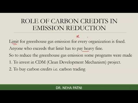 clean development mechanism job