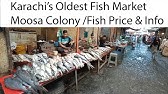 Moosa Colony Fish Market Map Moosa Colony Karachi Fish Market |Sohail Balkhi - Youtube