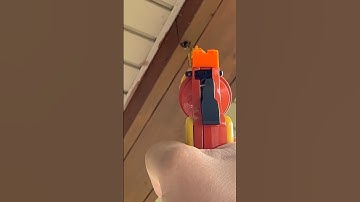 Hunting Bugs With Salt! (The Shredder) #hunting #insects #hornets