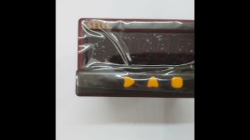 #PROCESS INDICATOR#SELEC#PIC152A-VI#PRODUCT IMAGE