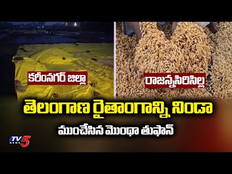 Montha Toofan Effect: రైతన్నను ముంచేసిన మొంథా తుఫాన్ | Huge Crop Loss To Farmers In Telangana | TV5 - TV5NEWS