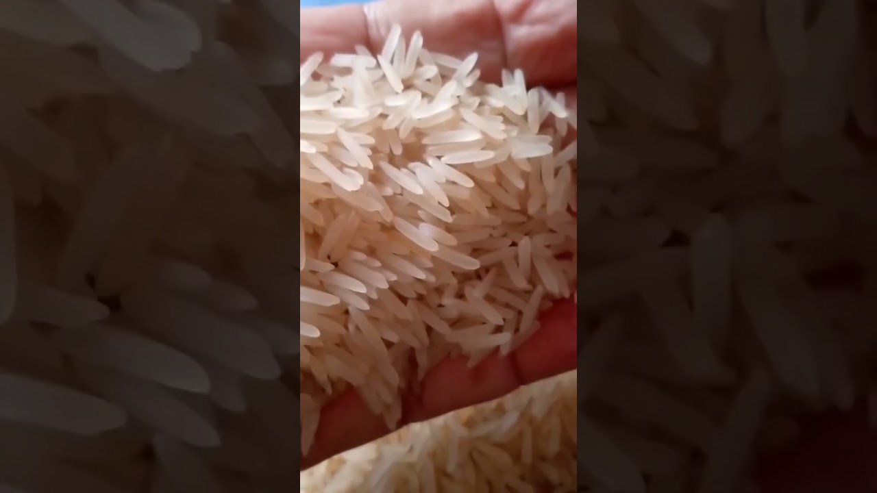 Pakistani no.1 Basmati Steam Rice 