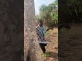 Maduka Done Go Love Comedy Funnyvideos Funny Comedyvideos Comedyskits Maduka Done Go Love Comedy Funnyvideos Funny Comedyvideos Comedyskits