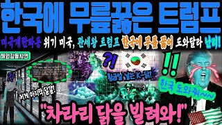 [해외감동사연] “한국 도와달라”… 美, 계란 대란에 트럼프까지 SOS!