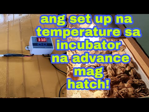 Video: Paano Kumuha ng Steam Bath: 13 Mga Hakbang (na may Mga Larawan)