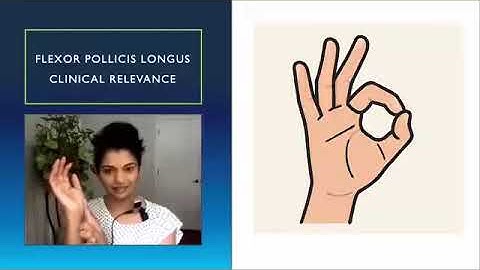 This video simplifies the anatomy and function of the flexor pollicis longus, or flexor pollicis
