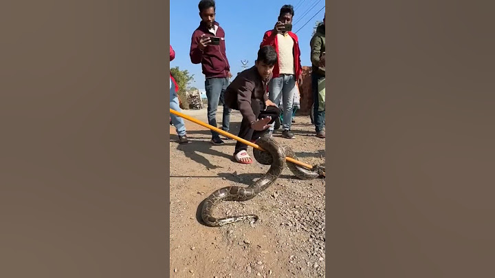 Etna Bada Snake 🐍 pakad Liya #viral #shortsfeed #shorts