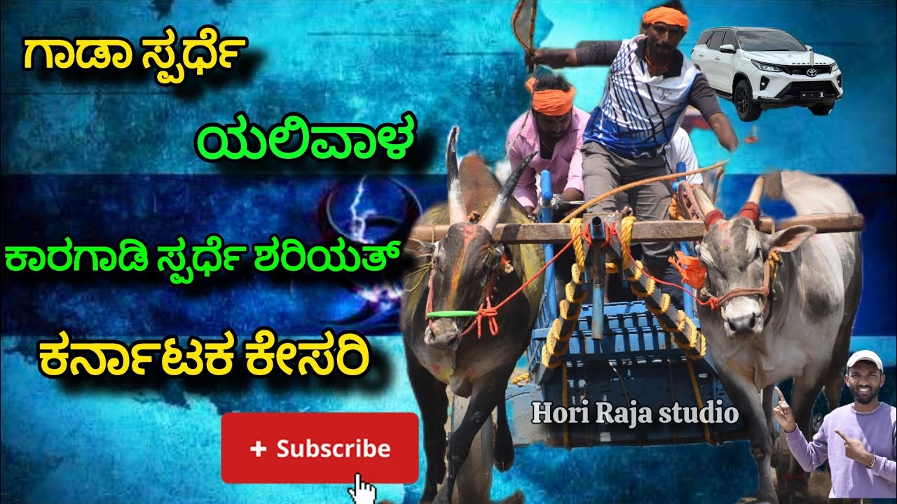 ಧಾರವಾಡ ಜಿಲ್ಲೆಯ ಯಲಿವಾಳ ಶರಿಯತ್ part-1|| bull race #karnataka #punch #cow #interview #shortvideos 