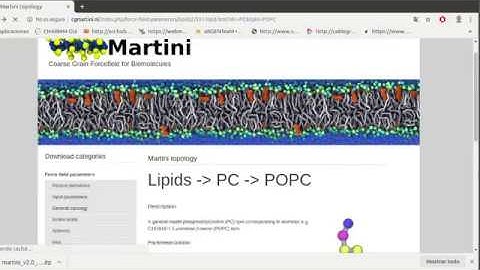3. Peptide-Membrane in Coarse Grained: MD Silumation, imput scripts
