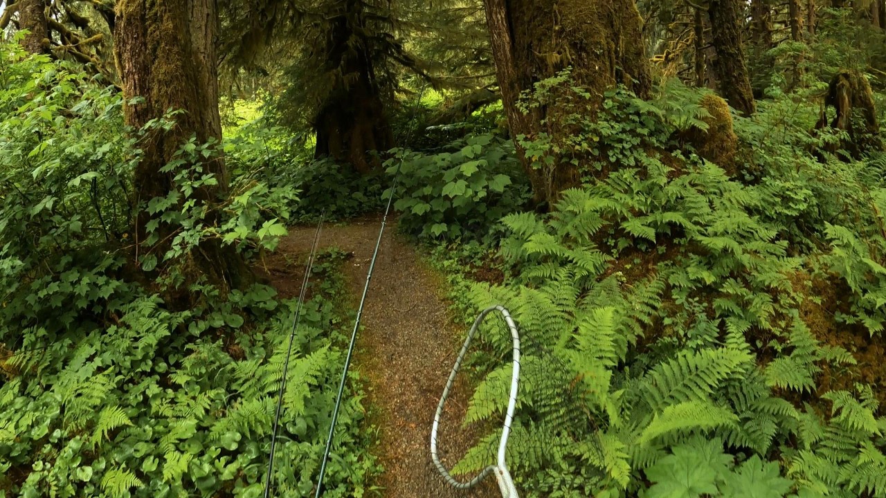 average day of freshwater fishing in Thorne Bay