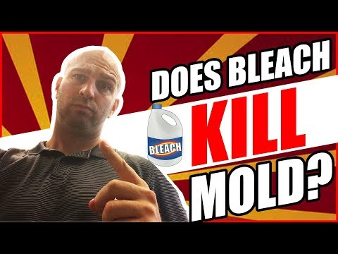 Video: Zabíja Clorox spóry plesní?