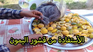 كيفية العناية بشجرة الليمون بقشور الليمون - How to use lemon peeled