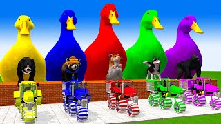 5 Giant Duck, Monkey, Piglet, chicken, bear, dog, cow, lion, Sheep Transfiguration funny animal 2023